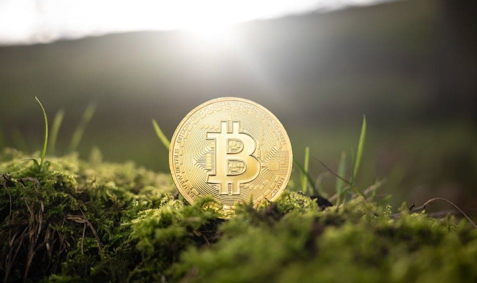 Why Is Crypto Crashing And Will It Recover?