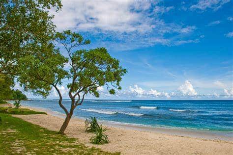 10 Best Crypto Exchanges in Vanuatu