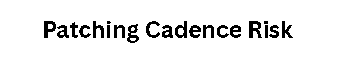 Patching Cadence Risk